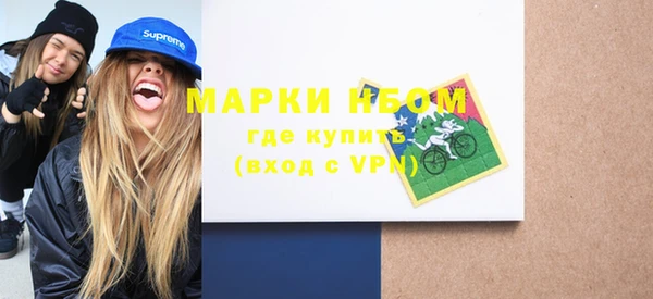 шишки Мегион