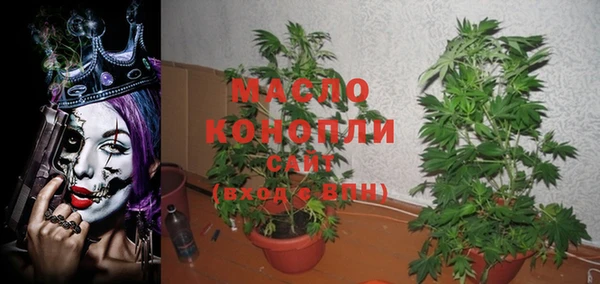 шишки Мегион