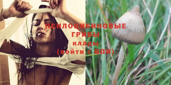 винт Медвежьегорск