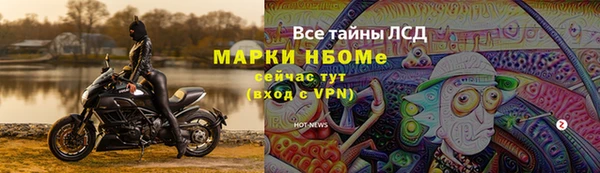стаф Снежинск